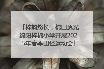 梓韵悠长，棉田逐光 绵阳梓棉小学开展2025年春季田径运动会