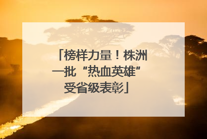 榜样力量！株洲一批“热血英雄”受省级表彰