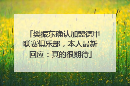 樊振东确认加盟德甲联赛俱乐部，本人最新回应：真的很期待