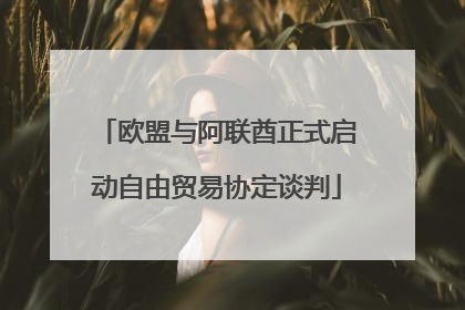 欧盟与阿联酋正式启动自由贸易协定谈判