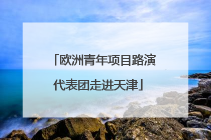 欧洲青年项目路演代表团走进天津