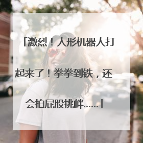 激烈！人形机器人打起来了！拳拳到铁，还会拍屁股挑衅……