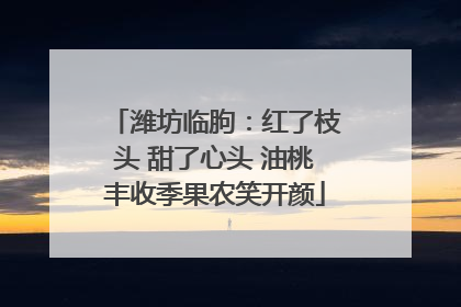 潍坊临朐：红了枝头 甜了心头 油桃丰收季果农笑开颜