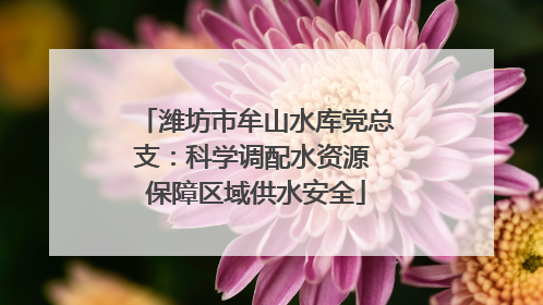 潍坊市牟山水库党总支：科学调配水资源 保障区域供水安全