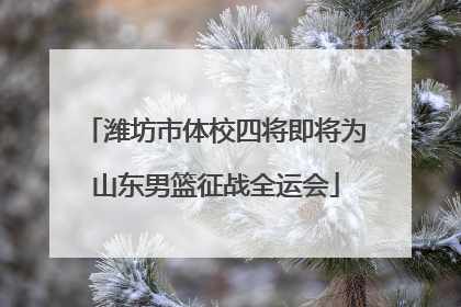 潍坊市体校四将即将为山东男篮征战全运会