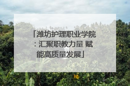 潍坊护理职业学院：汇聚职教力量 赋能高质量发展