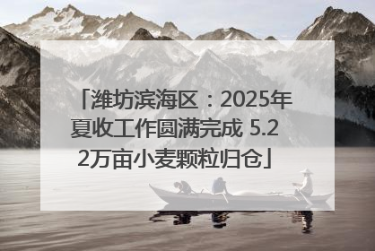 潍坊滨海区：2025年夏收工作圆满完成 5.22万亩小麦颗粒归仓