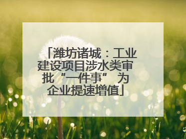 潍坊诸城：工业建设项目涉水类审批“一件事” 为企业提速增值
