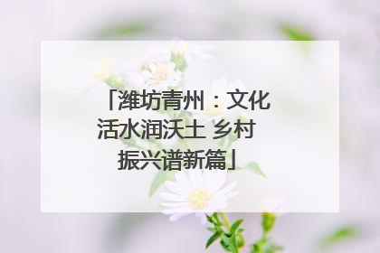 潍坊青州：文化活水润沃土 乡村振兴谱新篇