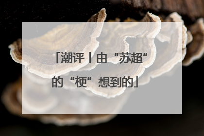 潮评丨由“苏超”的“梗”想到的