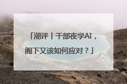 潮评丨干部夜学AI，阁下又该如何应对？