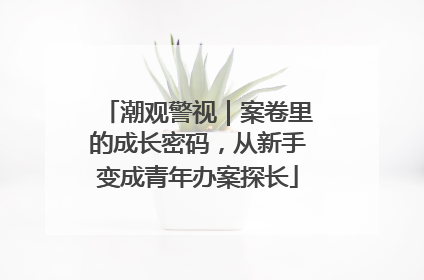 潮观警视｜案卷里的成长密码，从新手变成青年办案探长