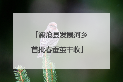 澜沧县发展河乡首批春蚕茧丰收