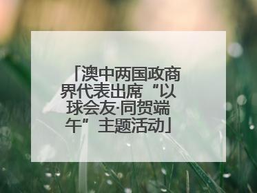澳中两国政商界代表出席“以球会友·同贺端午”主题活动