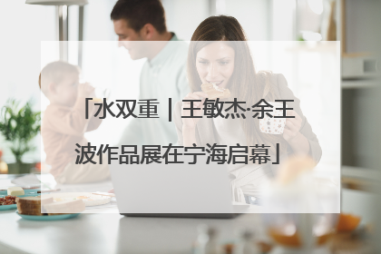 水双重｜王敏杰·余王波作品展在宁海启幕
