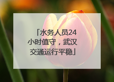 水务人员24小时值守，武汉交通运行平稳