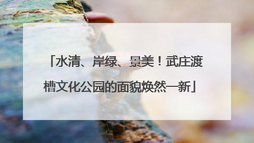 水清、岸绿、景美！武庄渡槽文化公园的面貌焕然一新