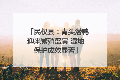 民权县：青头潜鸭迎来繁殖盛景 湿地保护成效显著