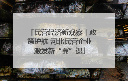 民营经济新观察｜政策护航 河北民营企业激发新“冀”遇