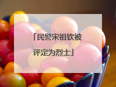 民警宋祖钦被评定为烈士