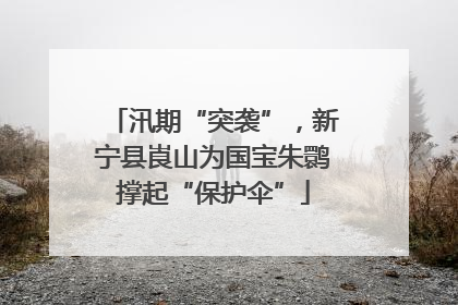 汛期“突袭”，新宁县崀山为国宝朱鹮撑起“保护伞”