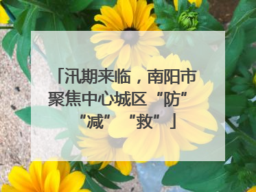 汛期来临，南阳市聚焦中心城区“防”“减”“救”