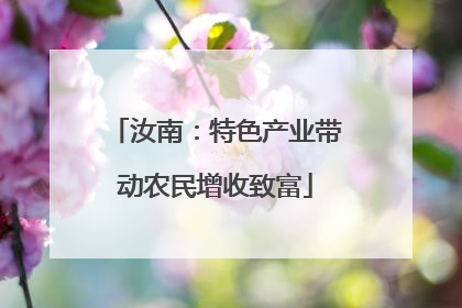 汝南：特色产业带动农民增收致富
