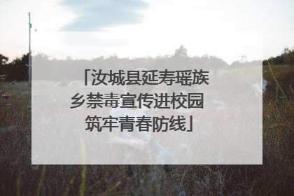 汝城县延寿瑶族乡禁毒宣传进校园 筑牢青春防线