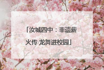 汝城四中：非遗薪火传 龙舞进校园