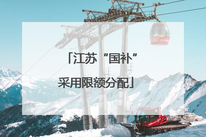 江苏“国补”采用限额分配