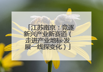 江苏南京：竞逐新兴产业新赛道（走进产业地标·发展一线探变化）