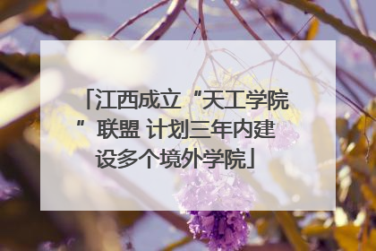 江西成立“天工学院”联盟 计划三年内建设多个境外学院