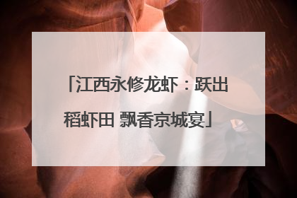 江西永修龙虾：跃出稻虾田 飘香京城宴