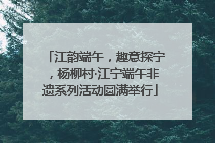江韵端午，趣意探宁，杨柳村·江宁端午非遗系列活动圆满举行