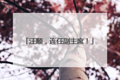 汪顺，连任副主席！