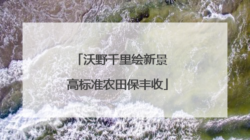 沃野千里绘新景 高标准农田保丰收