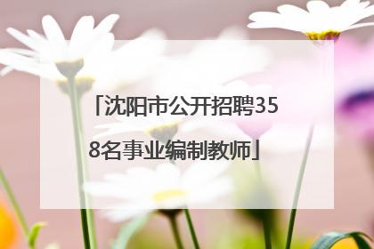 沈阳市公开招聘358名事业编制教师