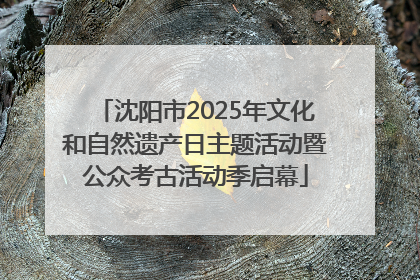沈阳市2025年文化和自然遗产日主题活动暨公众考古活动季启幕
