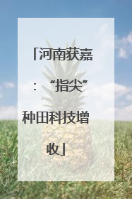 河南获嘉：“指尖”种田科技增收