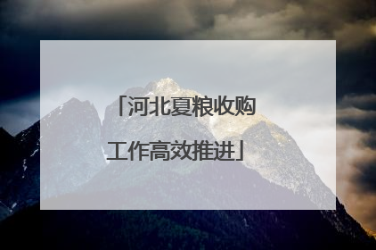 河北夏粮收购工作高效推进