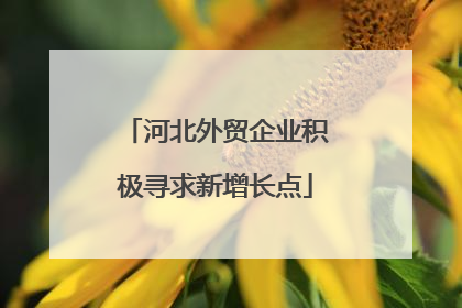 河北外贸企业积极寻求新增长点