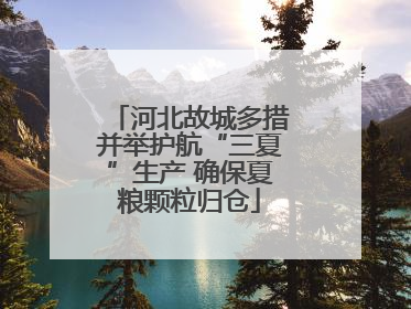 河北故城多措并举护航“三夏”生产 确保夏粮颗粒归仓