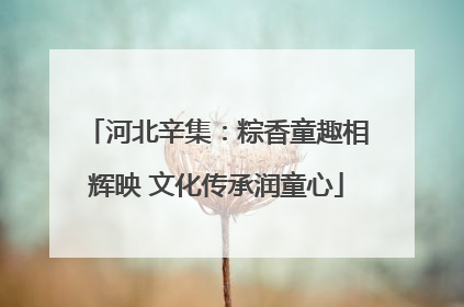 河北辛集：粽香童趣相辉映 文化传承润童心