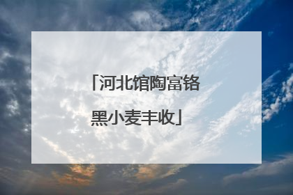 河北馆陶富铬黑小麦丰收