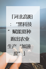 河北高阳：“黑科技”赋能夏种 跑出农业生产“加速度”