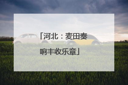 河北：麦田奏响丰收乐章
