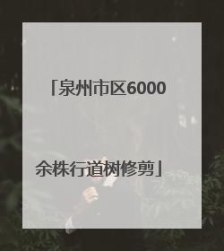 泉州市区6000余株行道树修剪
