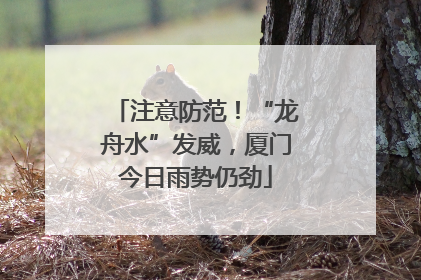 注意防范！“龙舟水”发威，厦门今日雨势仍劲