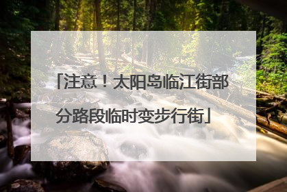 注意！太阳岛临江街部分路段临时变步行街