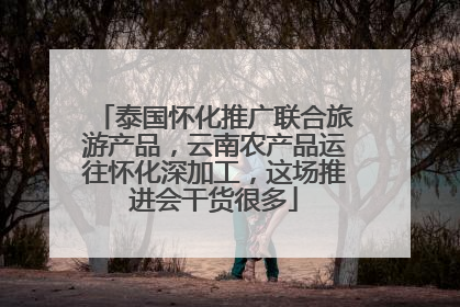 泰国怀化推广联合旅游产品，云南农产品运往怀化深加工，这场推进会干货很多